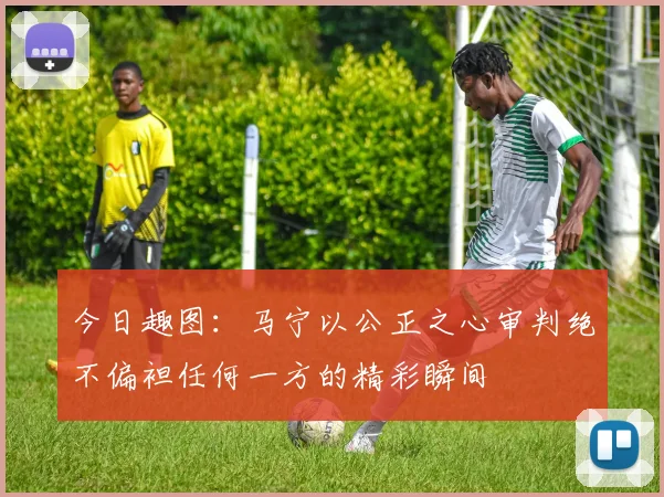 今日趣图：马宁以公正之心审判绝不偏袒任何一方的精彩瞬间
